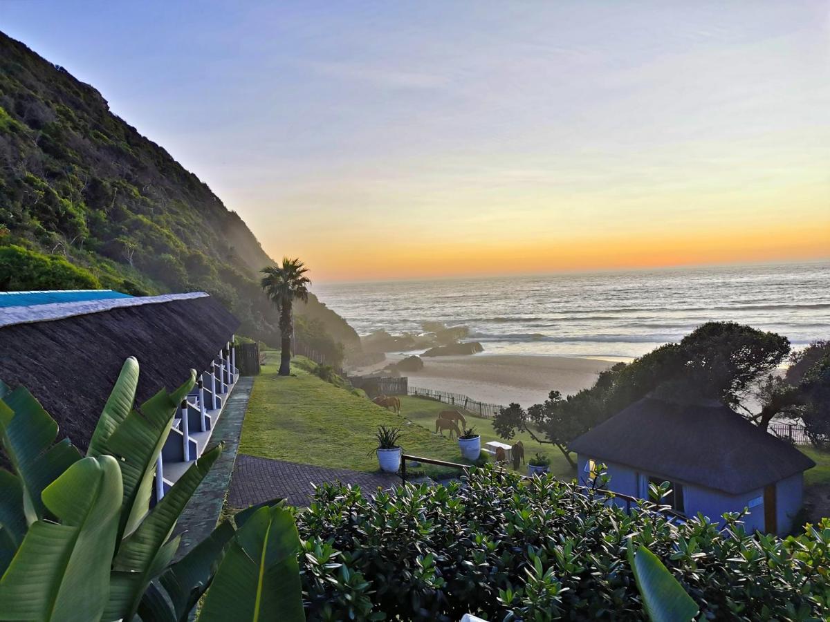 Coffee Bay Lodge Dış mekan fotoğraf